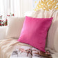 Luxury  Velvet Cream Cushion Cover, Beige Velvet Pillow cover, (All Sizes)