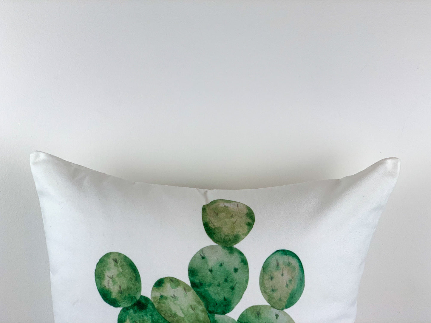 Cactus Pattern Design Set of 4 Velvet Cushion Set 18" x 18" for Home, Livingroom, Bedroom, Garden and Nursery Decor